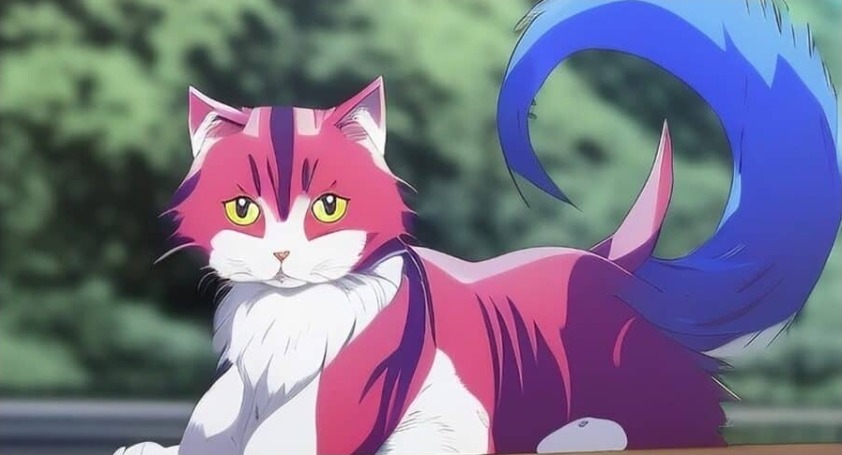 Anime Cat Names 1