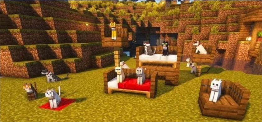 Minecraft Cat Names