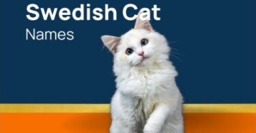 Swedish Cat Names