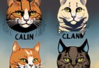 Cat Clan Name Generator