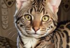 savannah cat names