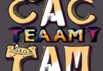 cat team name